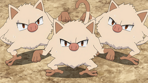 LV015 - Férosinge.png
