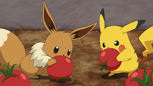 LV052 - Évoli de Chloé et Pikachu de Sacha.png