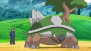 Torterra(de Paul)