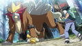 Entei (sauvage)