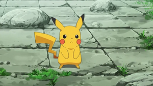 NB121 - Pikachu de Sacha.png