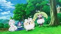 Goupix d'Alola (de Lilie), Otaquin (de Néphie), Togedemaru (de Chrys) et Candine (de Barbara)