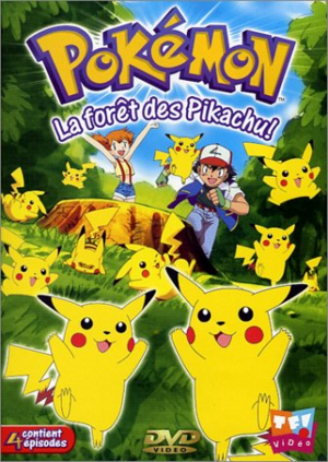 Saison 1 - DVD 11.png