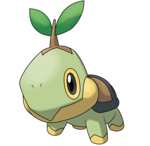 Tortipouss-Ra2.png