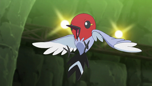 XY025 - Passerouge de Sacha.png