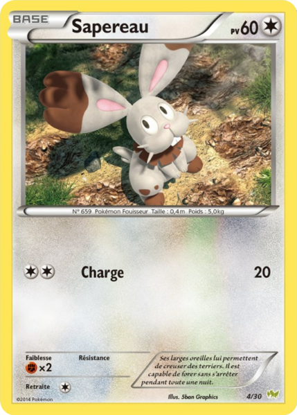 Fichier:Carte XY Kit du Dresseur Bruyverne 4.png