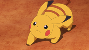 Pikachu(de Sacha)