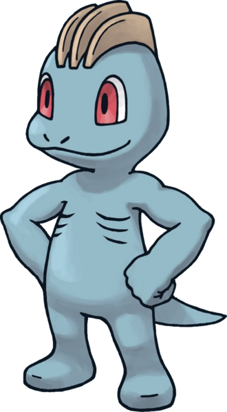 Fichier:Machoc-PDMRB.png