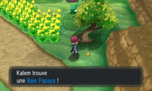 Route 10 Baie Papaya XY.png