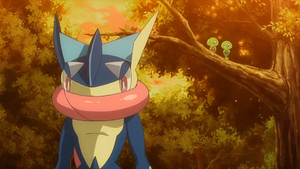 XY140 - Amphinobi, Pouic et Z2.png