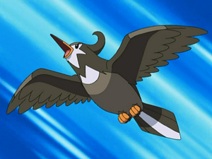 DP014 - Étourvol de Sacha.png