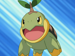 DP035 - Tortipouss de Sacha.png
