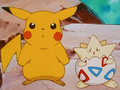 Pikachu (de Sacha) et Togepi (d'Ondine)