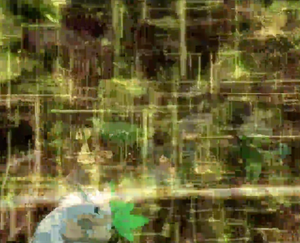 Film 11 - Tengalice sauvage.png