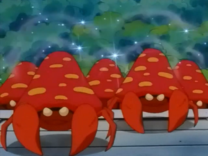 Parasect Poudre Dodo.png