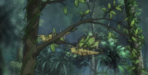Vibraninf sauvages - Film 23.png