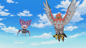 XY089 - Sonistrelle et Flambusard de Sacha.png