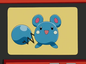 AG002 - Azurill Pokédex.png