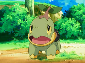 DP005 - Tortipouss de Sacha.png