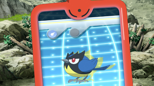 LV100 - Minisange Pokédex.png