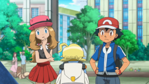 XY009 - Floravol.png