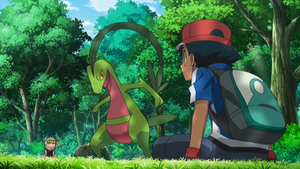 XY094 - Massko de Liam.png