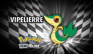 Épisode 664 - Pokémon inconnu révélé.png