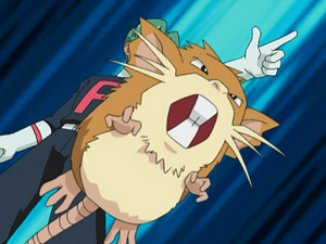 AG176 - Rattatac de Butch.png