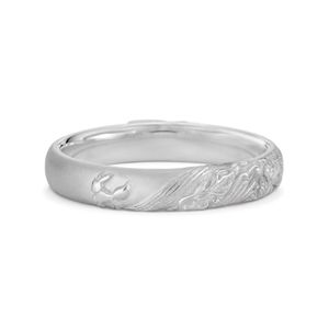 Alliance Homme Évolition Platine u-treasure.jpg