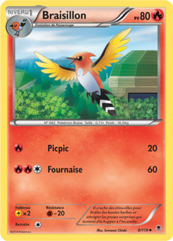 Braisillon (XY Vigueur Spectrale 9)