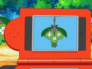 DP030 - Cheniselle Pokédex.png