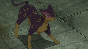 Léopardus de Lyla.png