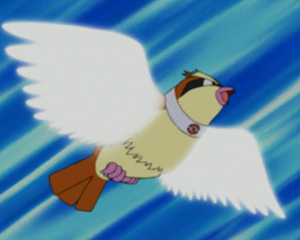 Roucool d'Anita.png