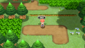 Pokemon Sauvages 300px-Route_202_DEPS