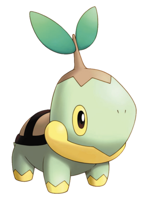 Tortipouss-PDMTO.png