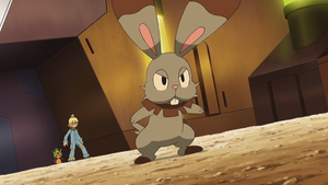 XY063 - Marisson et Sapereau de Lem.png