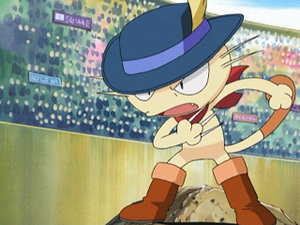 AG126 - Miaouss de Tyson.png