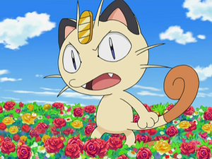 DP150 - Miaouss de la Team Rocket.png