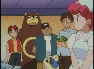 EP174 - Ursaring, Wattouat et Mimigal d'un Dresseur.png