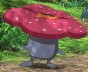 Rafflesia sauvage - Film 23.png