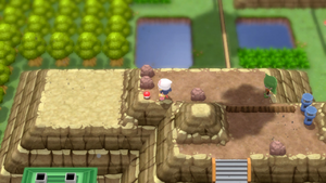 Route 227 Zinc DEPS.png
