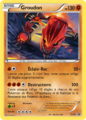 Carte Groudon