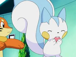 DP055 - Pachirisu d'Aurore.png