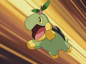DP058 - Tortipouss de Sacha.png