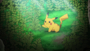 SL035 - Herbe Rappel.png