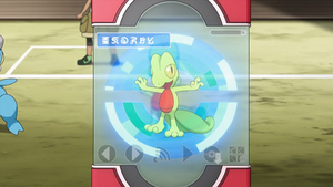 XY073 - Arcko Pokédex.png