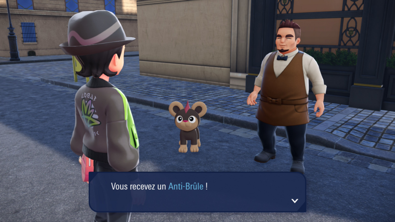 Fichier:Avenue Vendémiaire Anti-Brûle LPZA.png