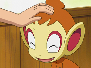 DP066 - Ouisticram de Sacha.png