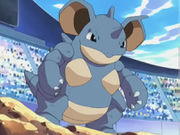Nidoqueen(de Régis)