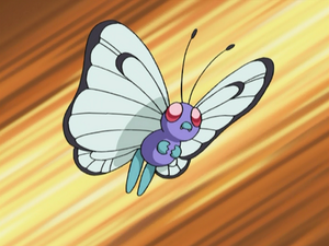 Papilusion de Jerémy.png